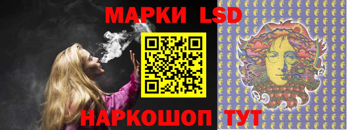 Бошки Шишки Краснознаменск