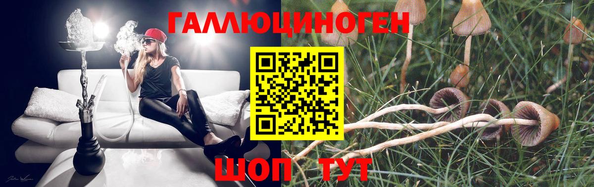 Краснознаменск  Псилоцибиновые грибы прущие грибы  дарнет шоп  Вход с VPN 